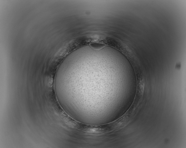 X0000112400657200908281752