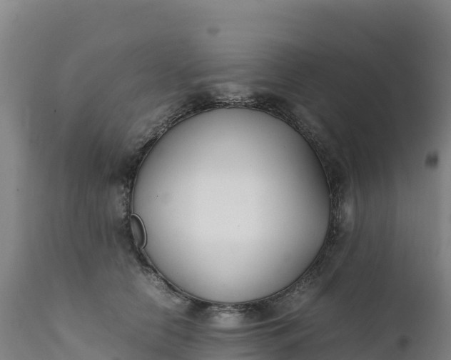 X0000112400658200908281752