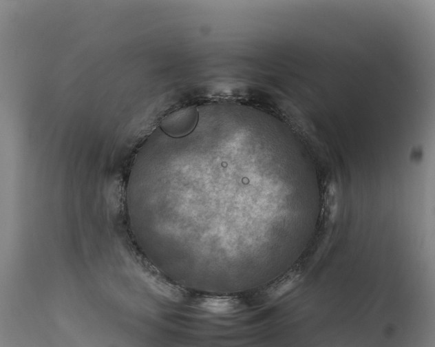 X0000112400659200908281752