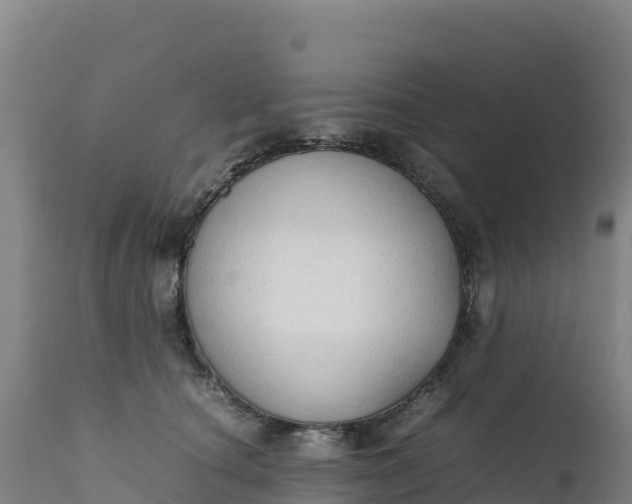 X0000112400660200908281752