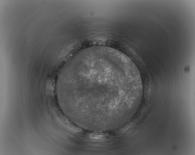 X0000112400661200908281752