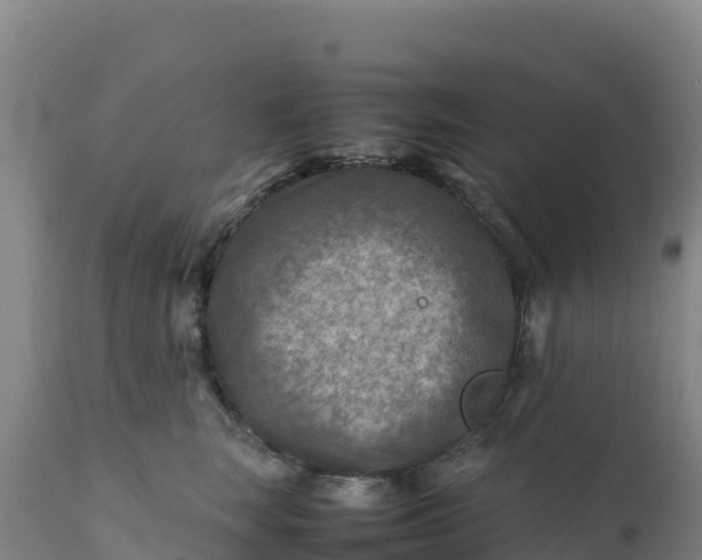 X0000112400663200908281752