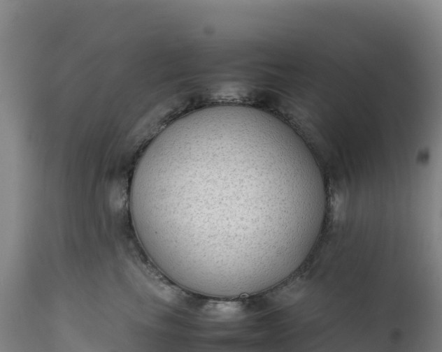X0000112400665200908281752