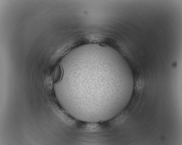 X0000112400666200908281752