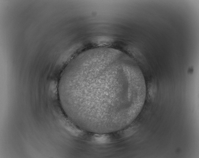 X0000112400667200908281752