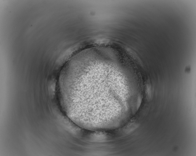 X0000112400668200908281752