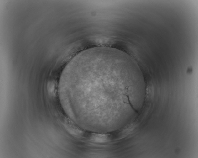 X0000112400671200908281752