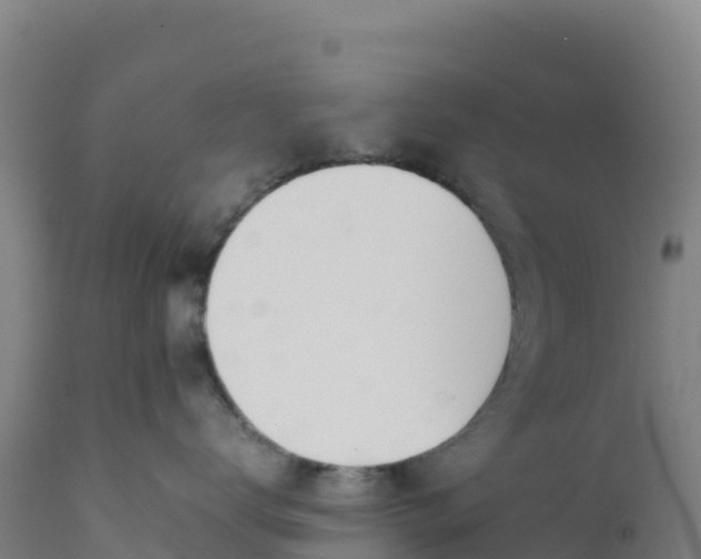 X0000112400672200908281752