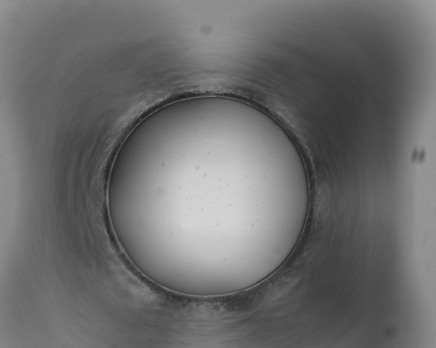 X0000112400673200908281751
