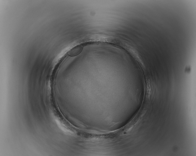 X0000112400674200908281751