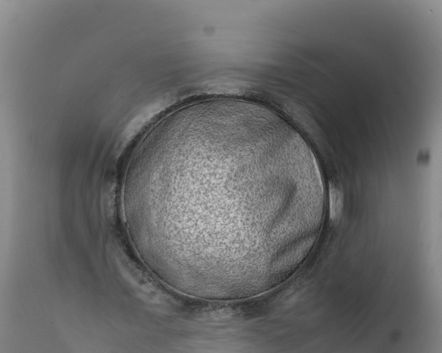 X0000112400675200908281751