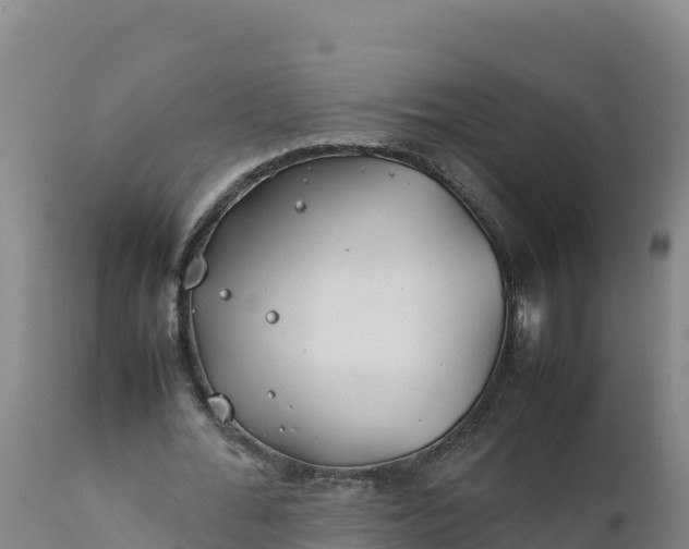 X0000112400676200908281751