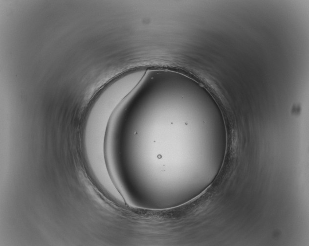 X0000112400677200908281751