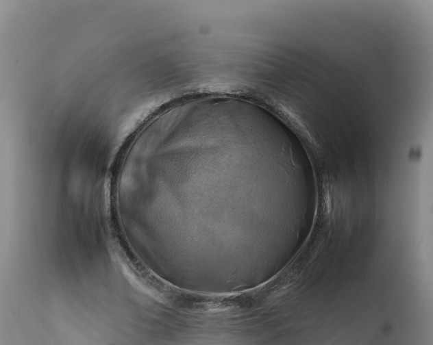 X0000112400678200908281751