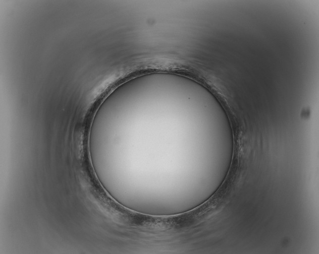 X0000112400679200908281751
