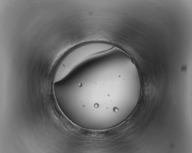 X0000112400680200908281751
