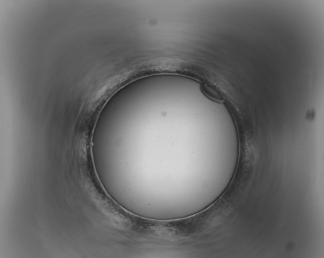 X0000112400681200908281751