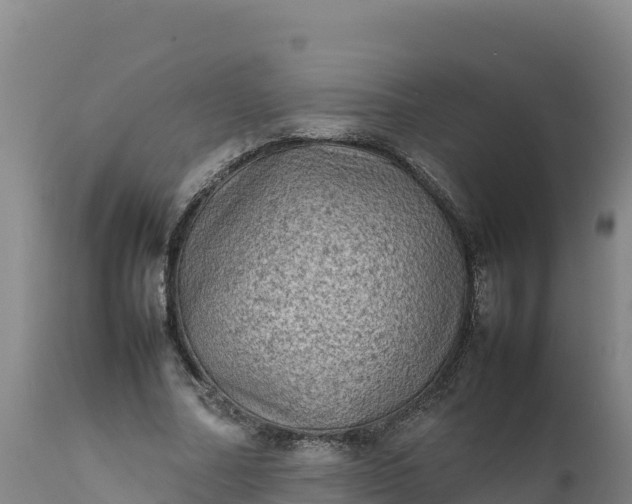 X0000112400682200908281751