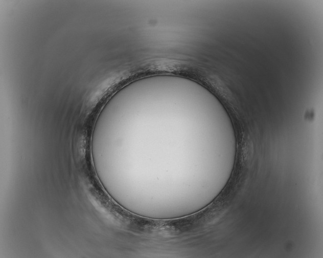 X0000112400683200908281751