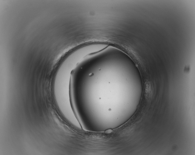 X0000112400684200908281751