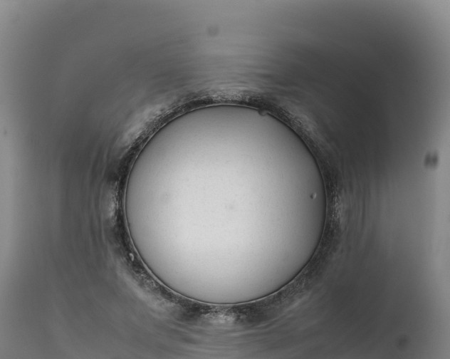 X0000112400687200908281751