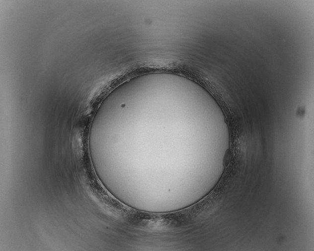 X0000112400688200908281751