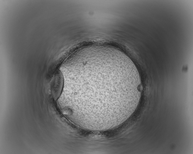 X0000112400689200908281751