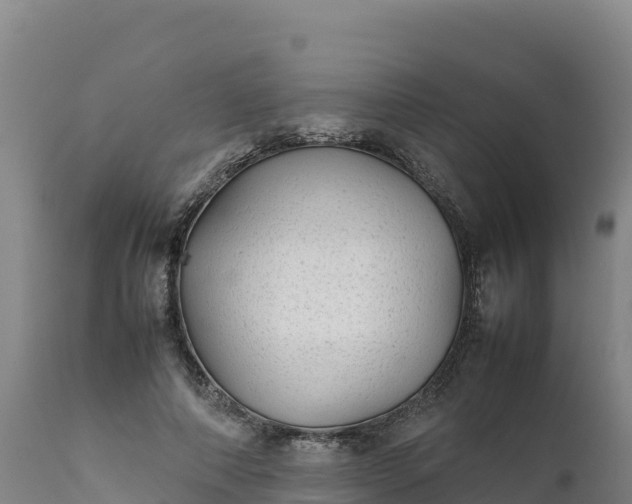 X0000112400690200908281751