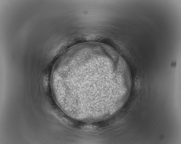 X0000112400691200908281751