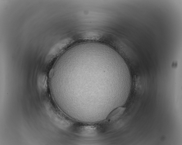 X0000112400692200908281751