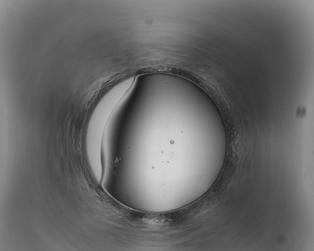 X0000112400693200908281751