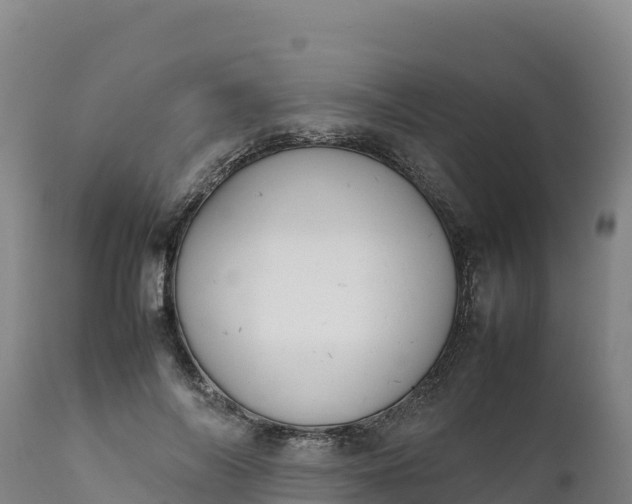 X0000112400694200908281751