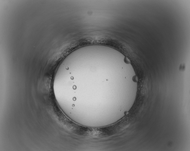 X0000112400695200908281751