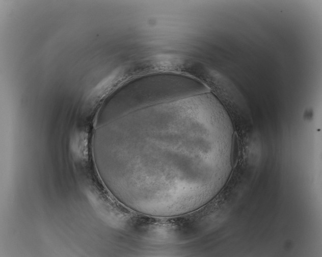 X0000112400696200908281751