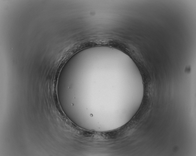 X0000112400697200908281751