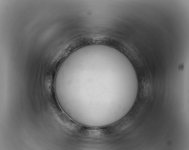 X0000112400698200908281751