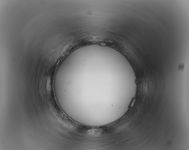 X0000112400700200908281751