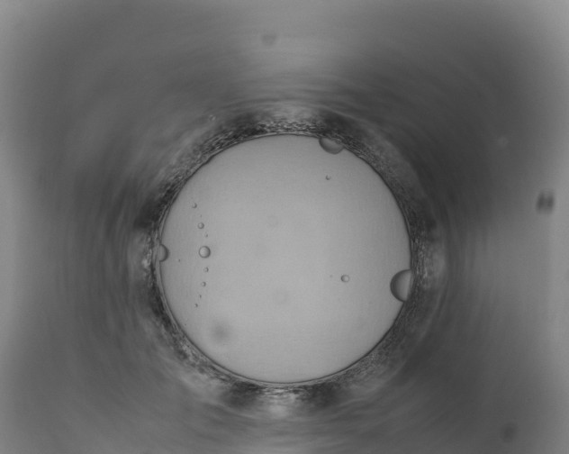 X0000112400701200908281751