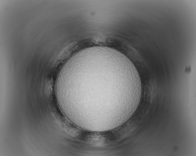 X0000112400702200908281751