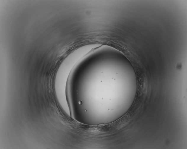 X0000112400704200908281751