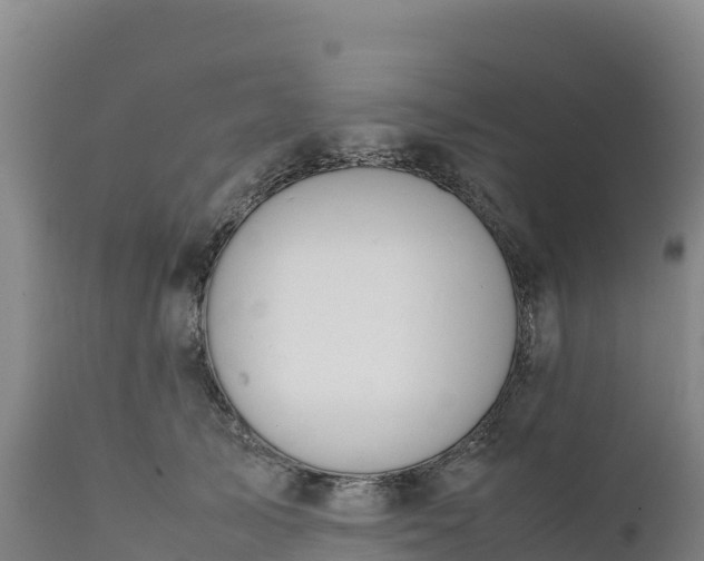 X0000112400705200908281751