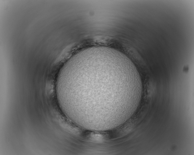 X0000112400706200908281751