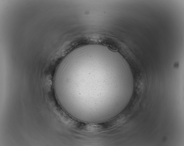 X0000112400707200908281751