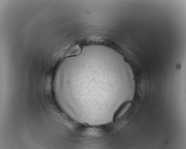 X0000112400708200908281751