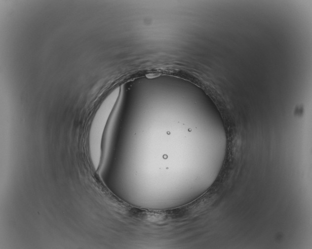 X0000112400709200908281751