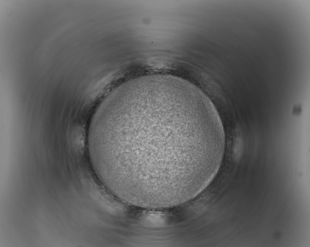 X0000112400710200908281751
