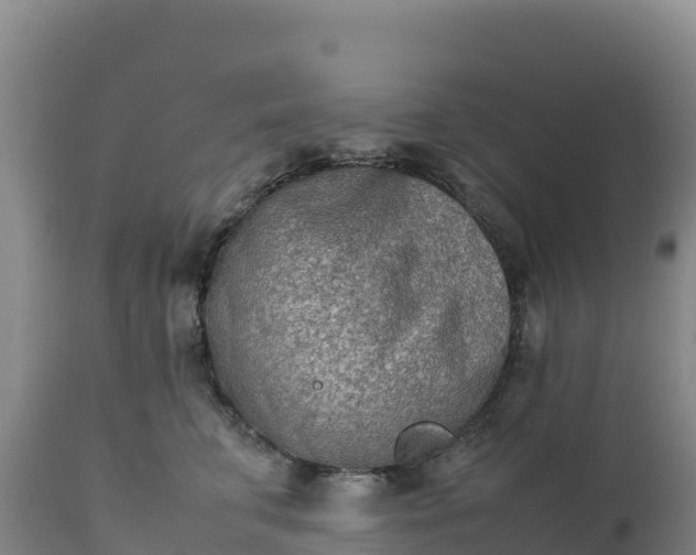 X0000112400711200908281751