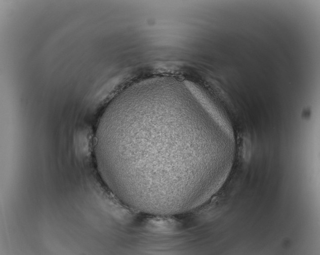 X0000112400712200908281751