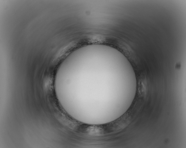 X0000112400714200908281751