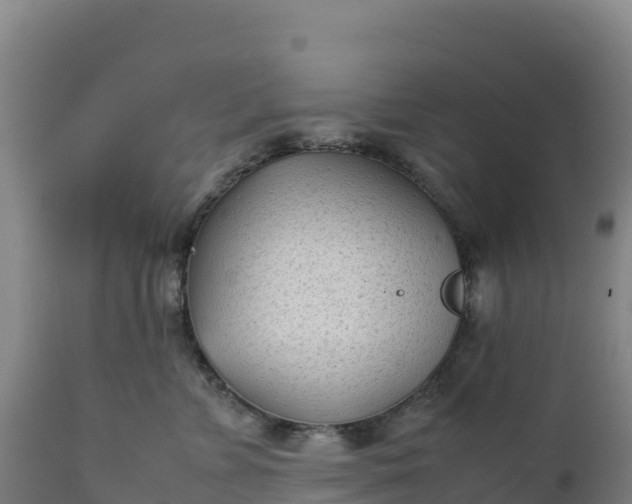 X0000112400715200908281751